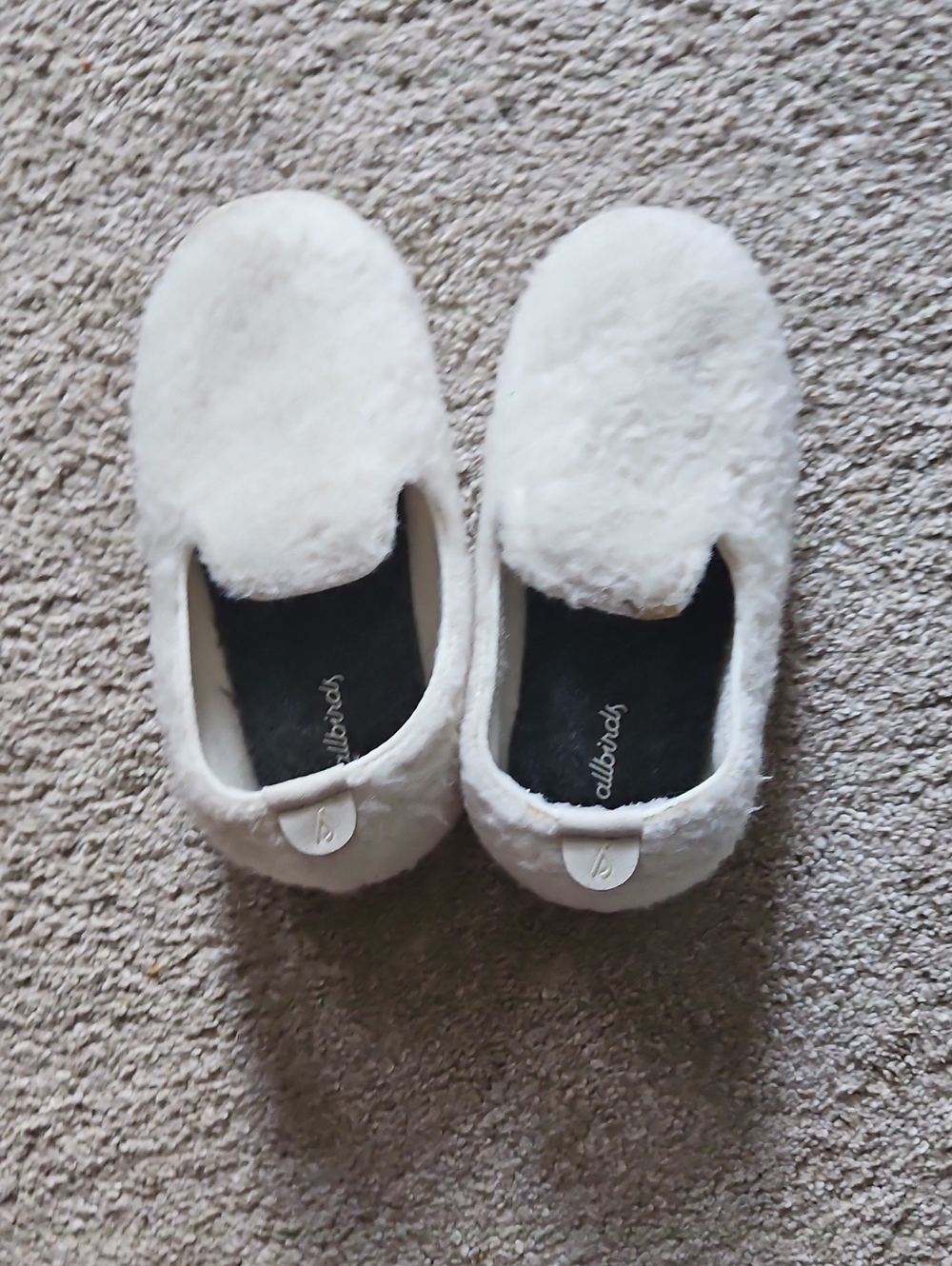 Allbirds Wool Lounger, Kids, Size 10, Cream
